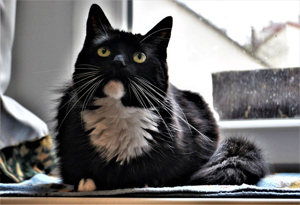 Photograph by Zdeňka Hudcová