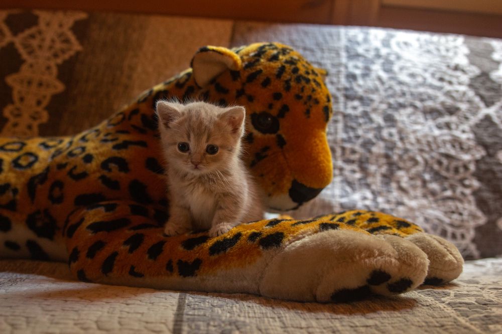 Photograph by Эльвира Халимулина