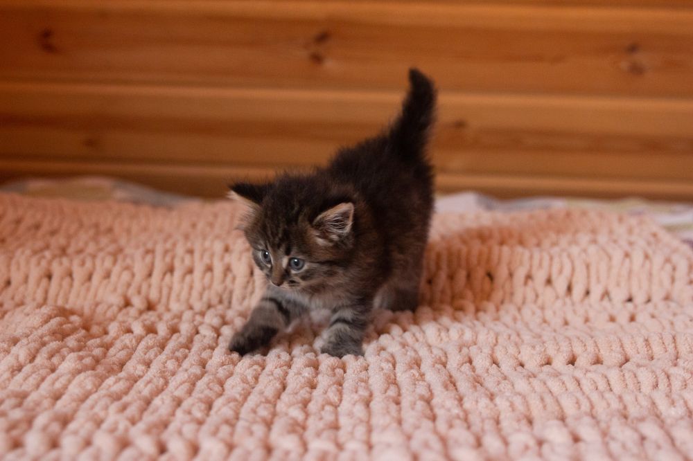 Photograph by Эльвира Халимулина