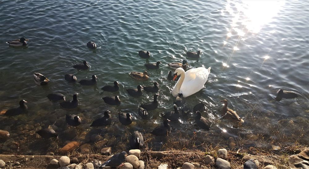 Photograph by Екатерина Шарун