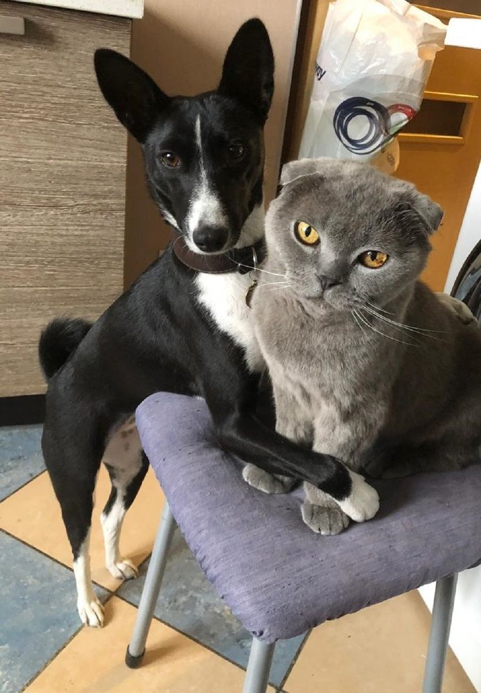 Photograph by Михаил Трусов