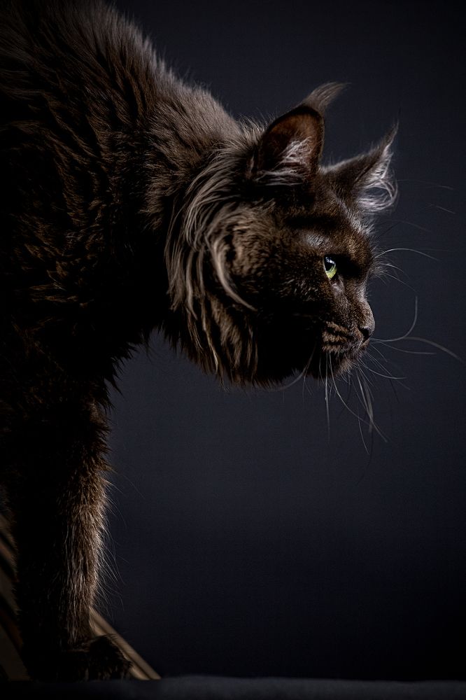 Photograph by Ольга Евграфова