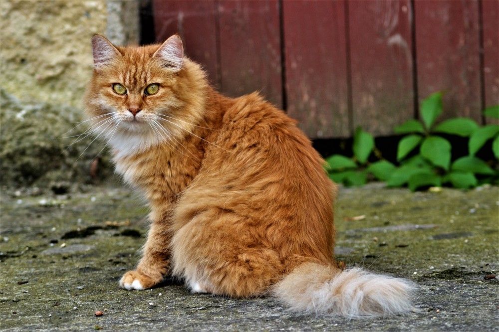 Photograph by Zdeňka Hudcová