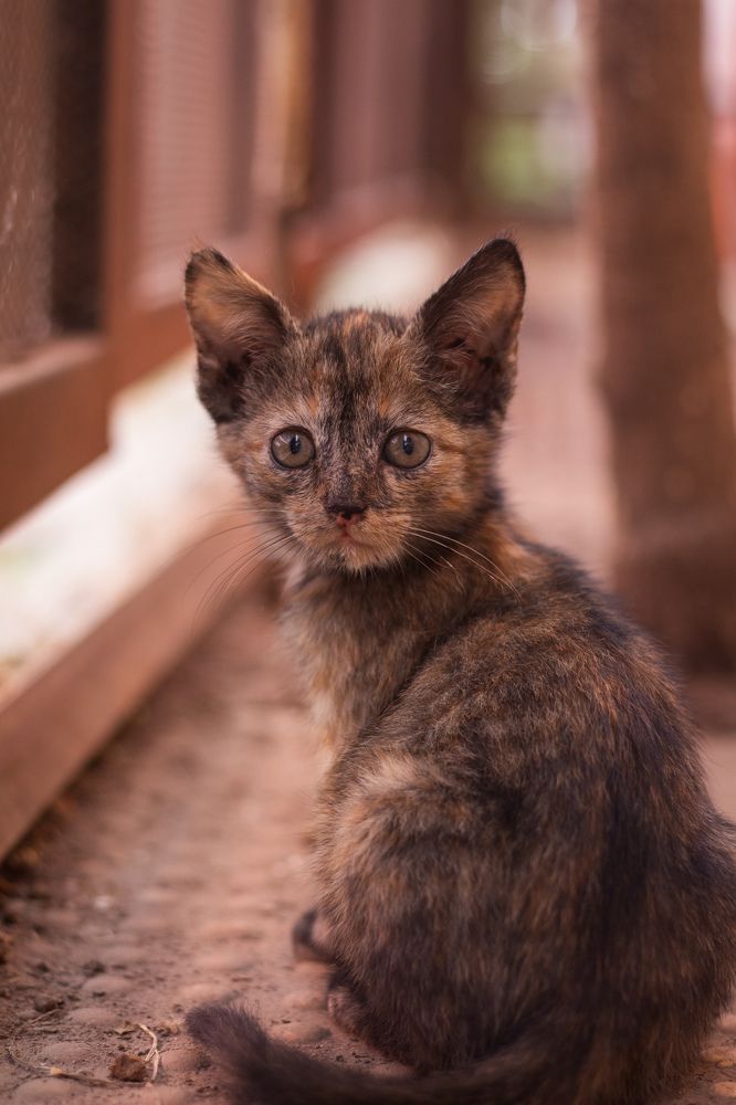 Фотография автора Aniket