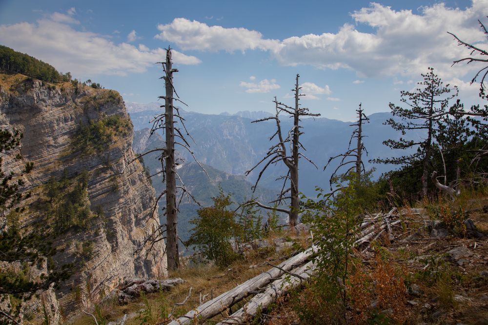 Photograph by Roman Veprentsev