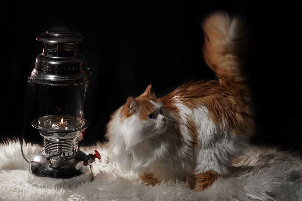 Photograph by Alexander Semenko