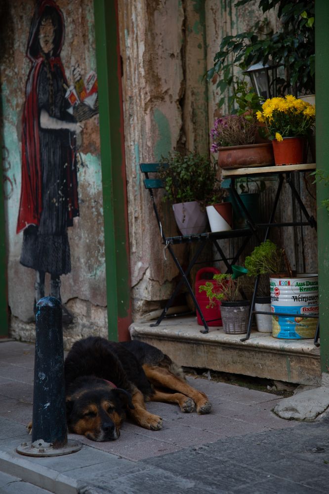 Photograph by Roman Veprentsev