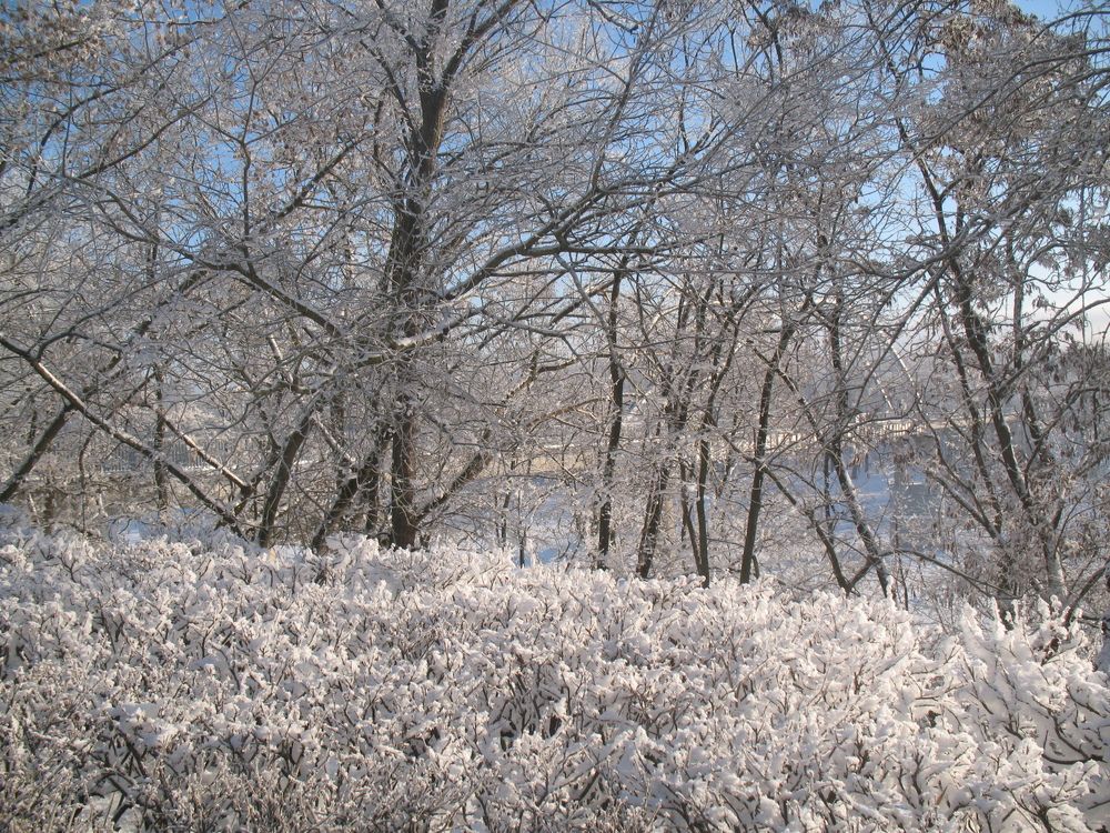 Photograph by Елизавета