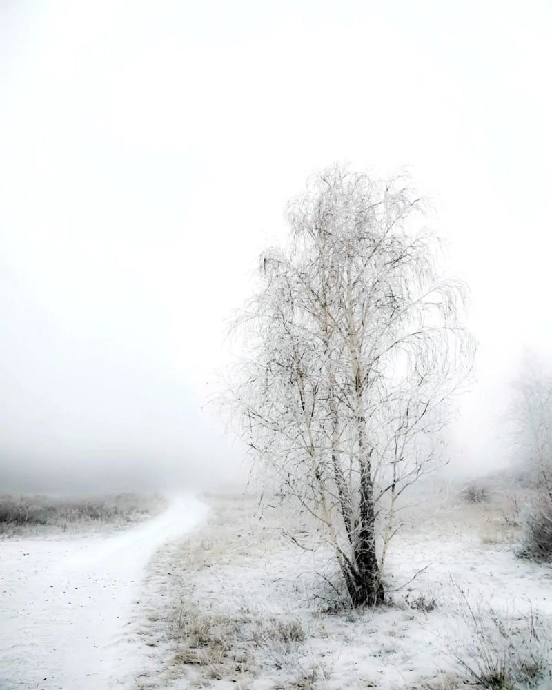 Photograph by Жанна Баннова