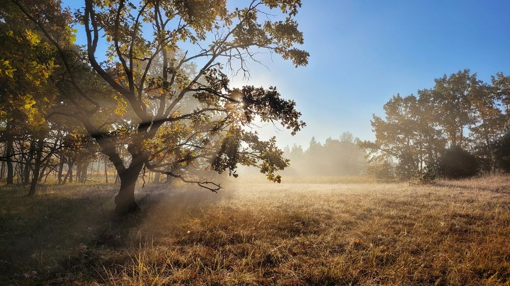 Photograph by Сергей Шляга