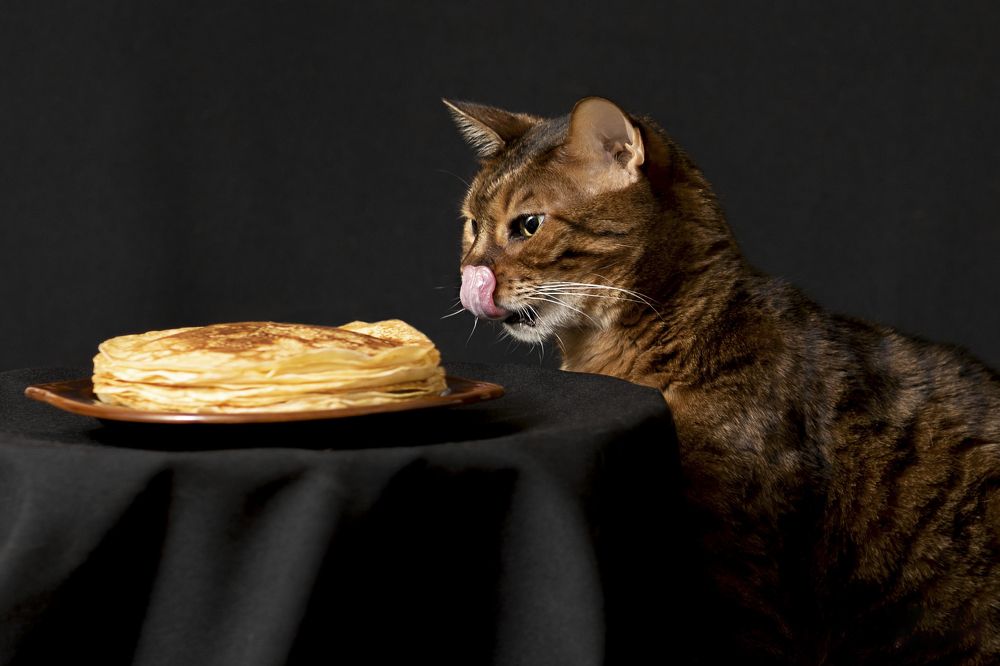 Photograph by Ольга Евграфова