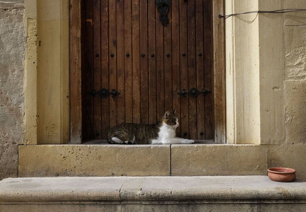 Photograph by Диляра Шарифзаде