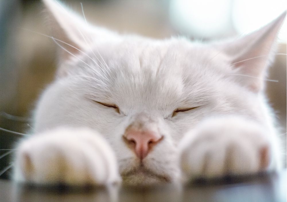 Photograph by Ольга Остапенко