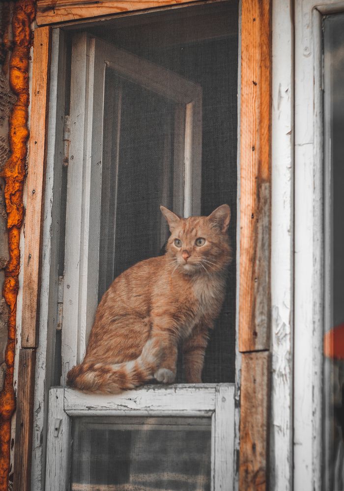 Photograph by Ольга Остапенко