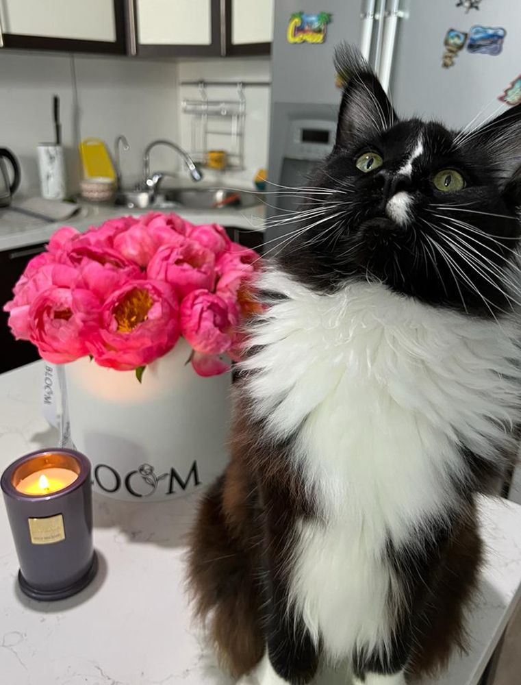 Photograph by Юлия Бахметьева