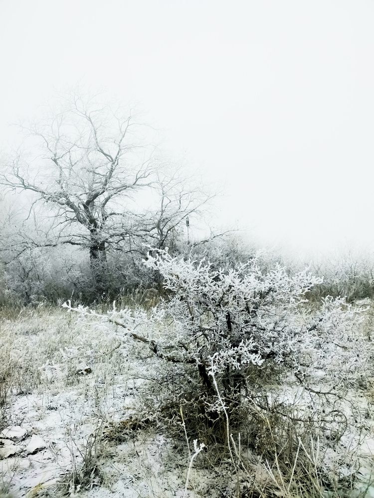 Первый снег.