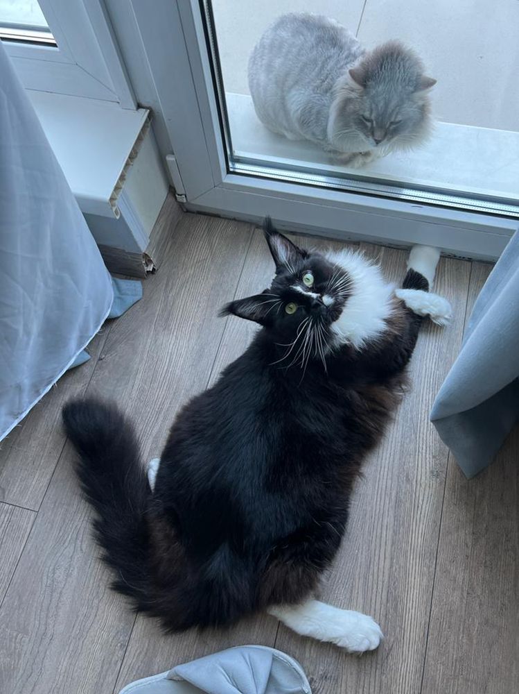 Photograph by Юлия Бахметьева