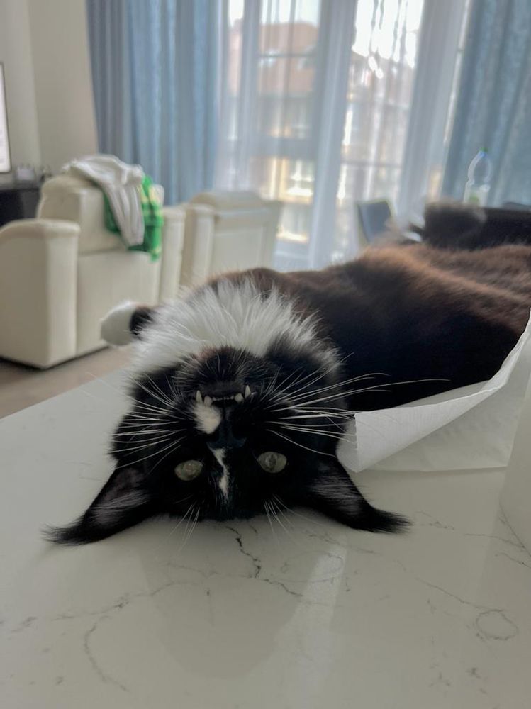 Photograph by Юлия Бахметьева