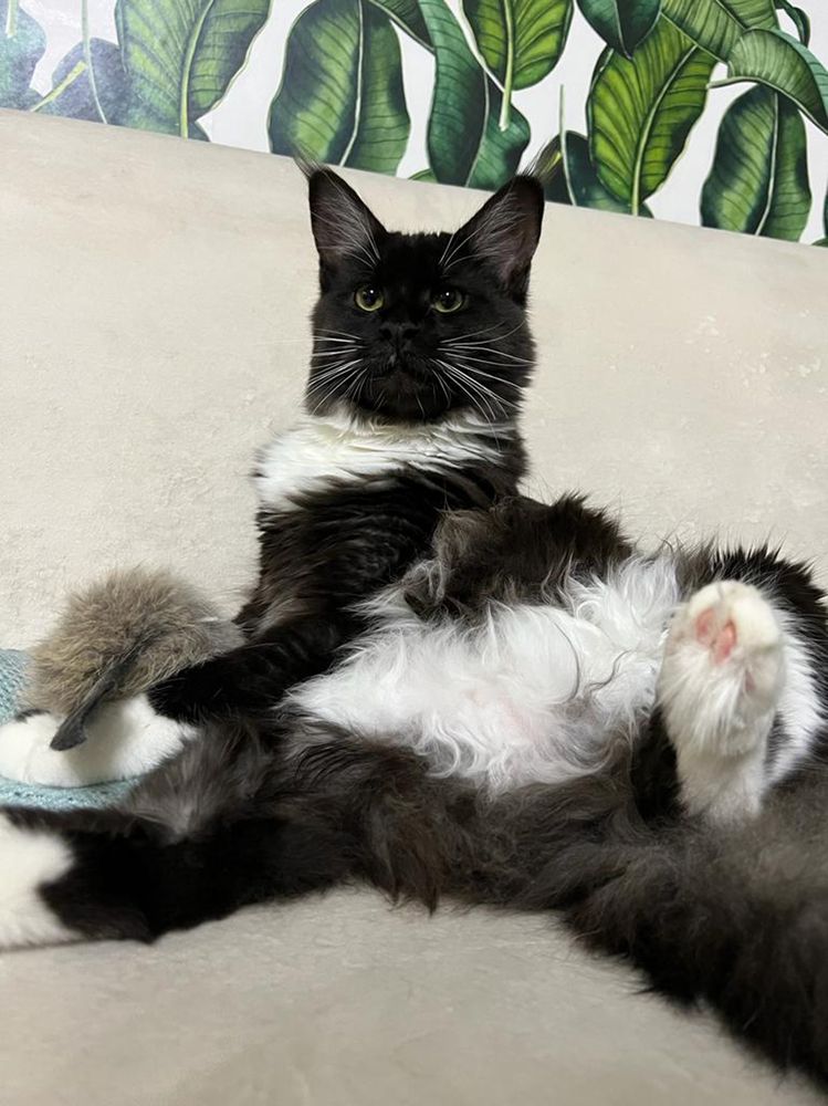 Photograph by Юлия Бахметьева