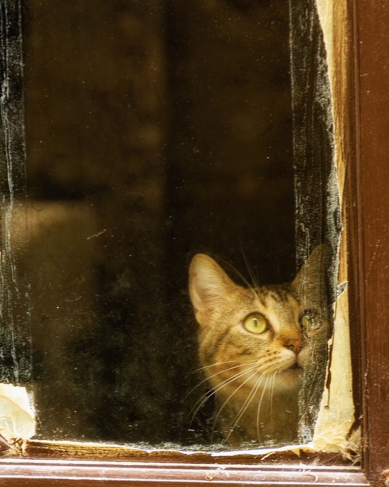 Photograph by Ángel J. sánchez