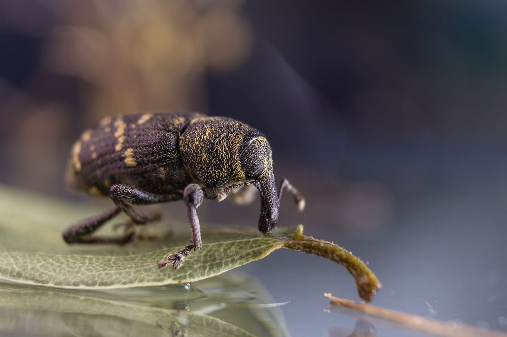 Photograph by Ольга Сергеенко