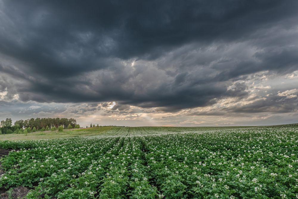 Photograph by Валерий Туманов