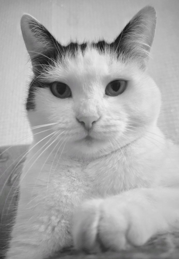 Photograph by Leanid Kulpo