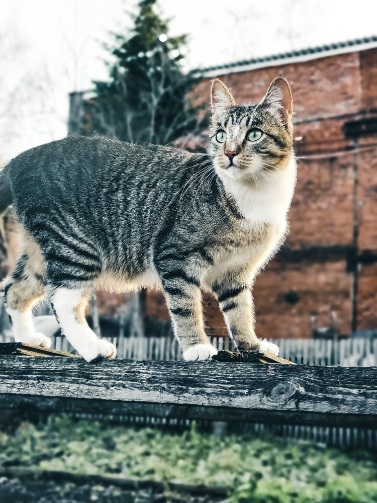 Photograph by Светлана Нестерова