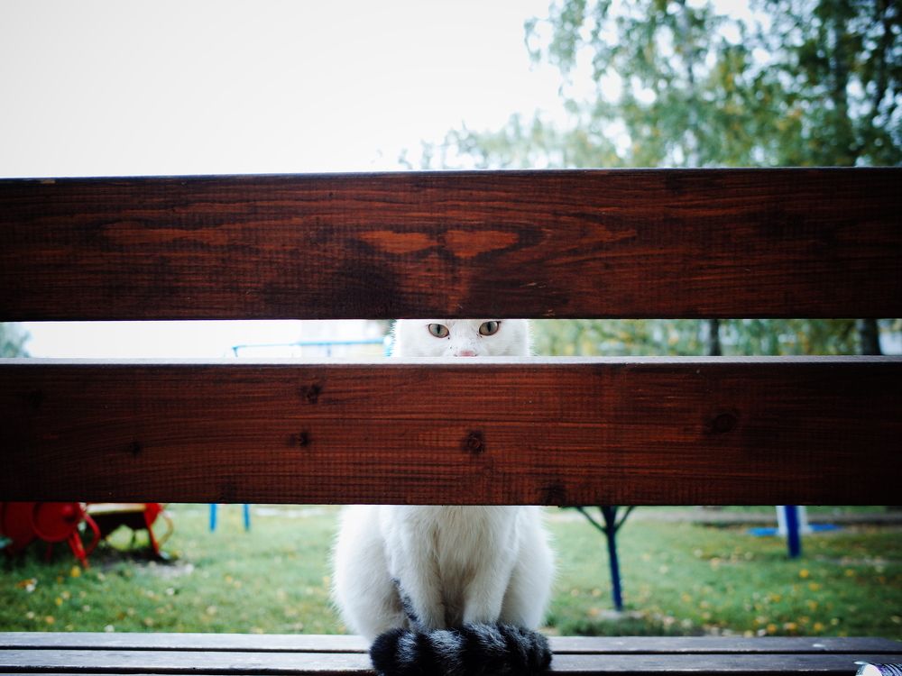 Photograph by Михаил Крайнев