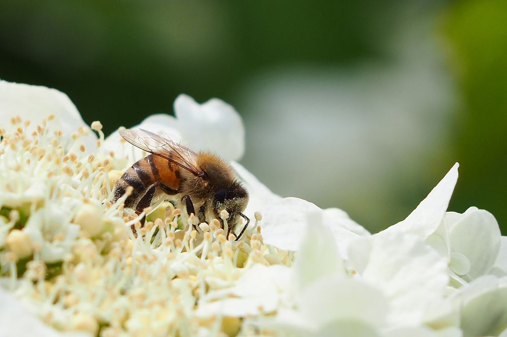 Фотография автора Александр Кротков