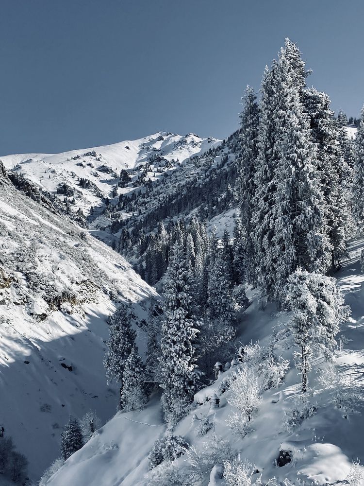 Photograph by Марина Танаева