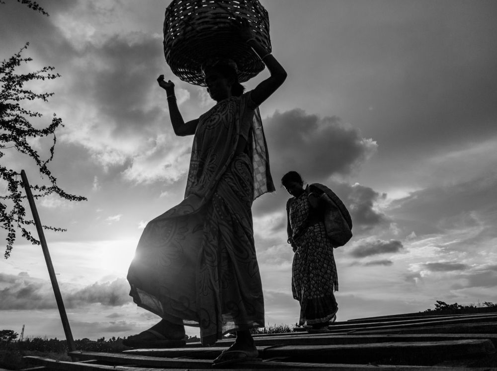 Photograph by Roni Gayen