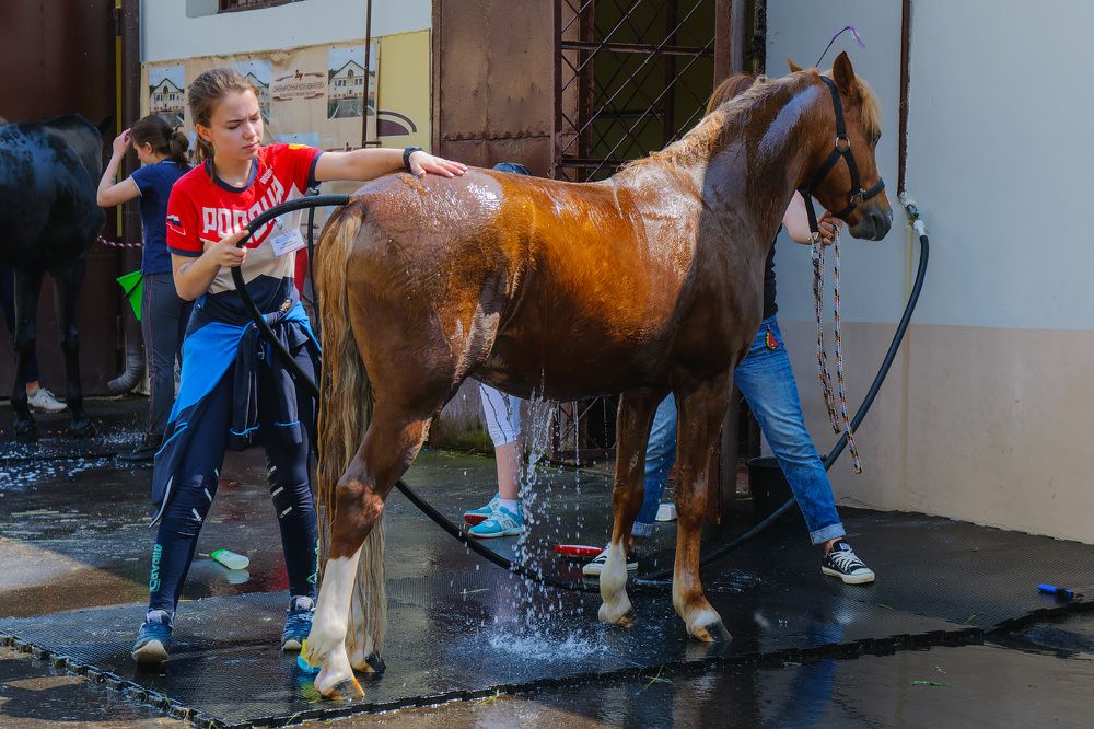 Photograph by Марина Короткова