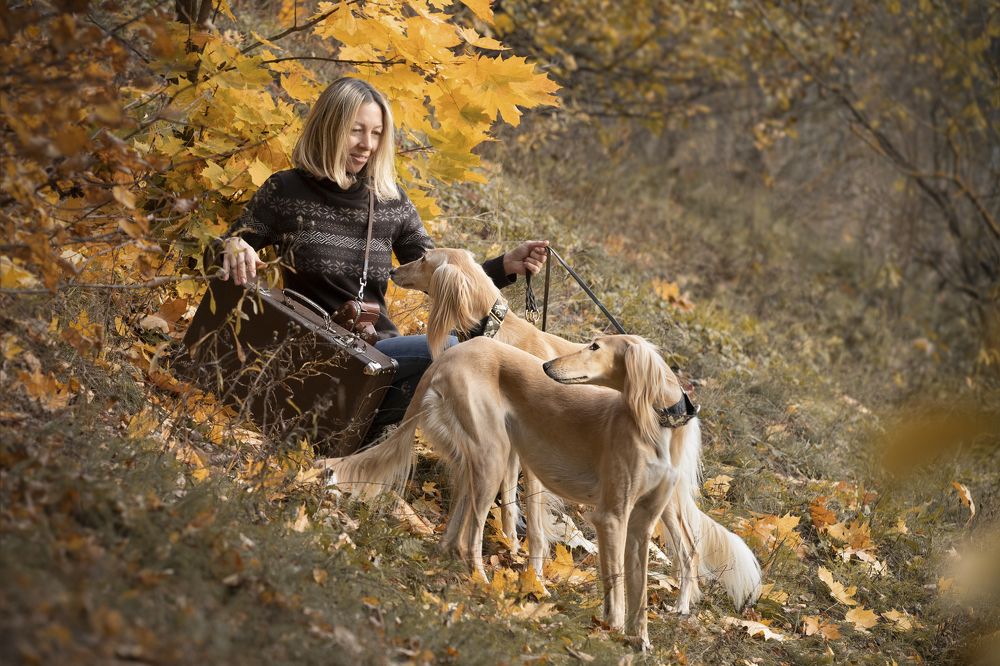 Everything new is ahead