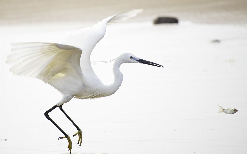 Photograph by Deepak KGK