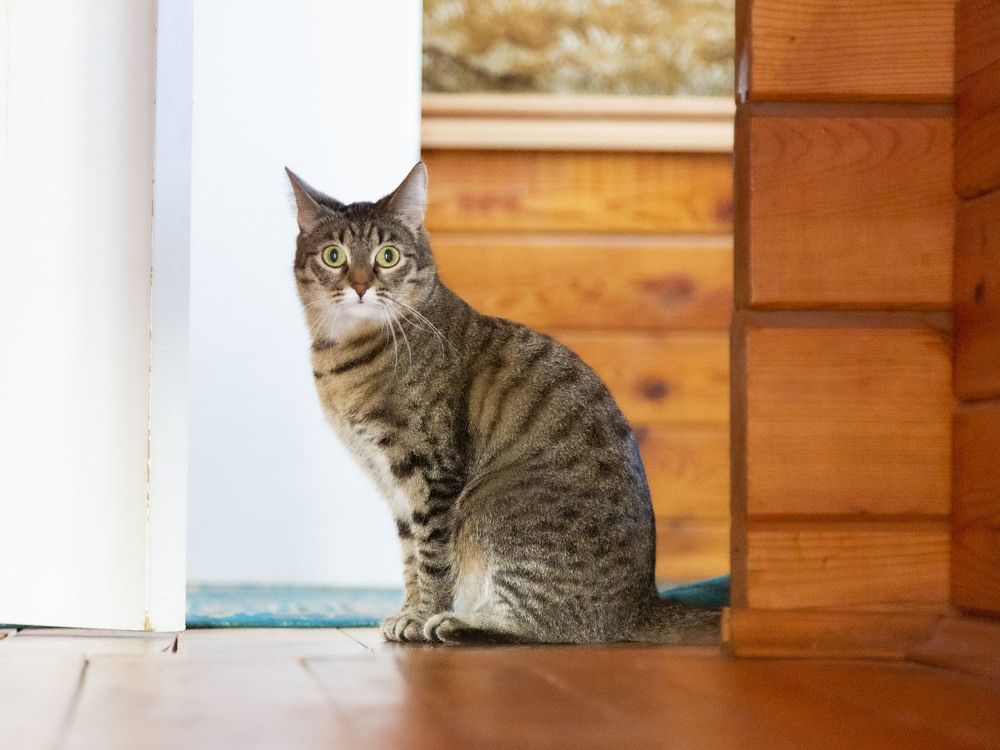 Фотография автора Валерий Каргин