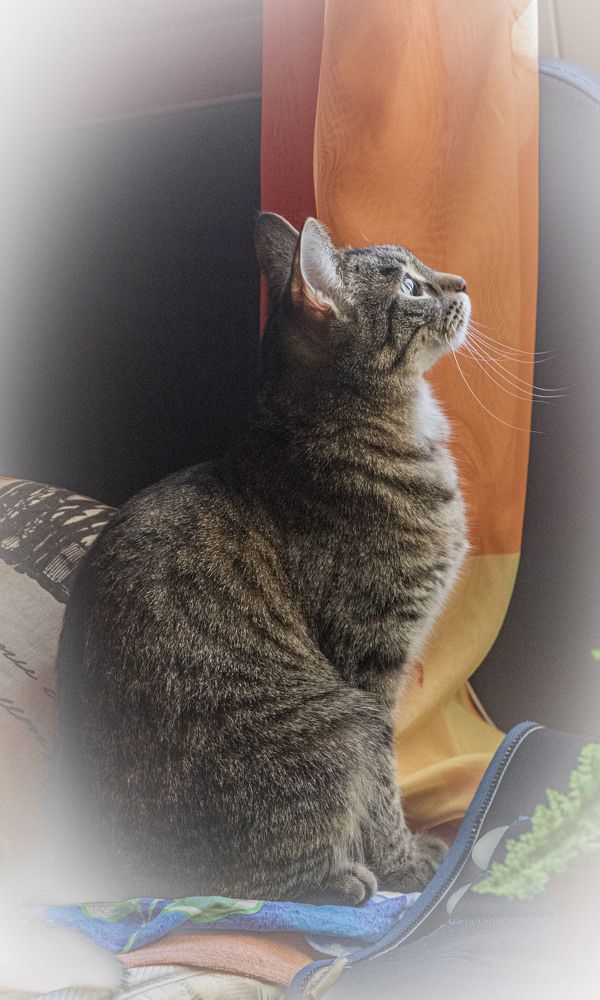 Фотография автора Валерий Каргин