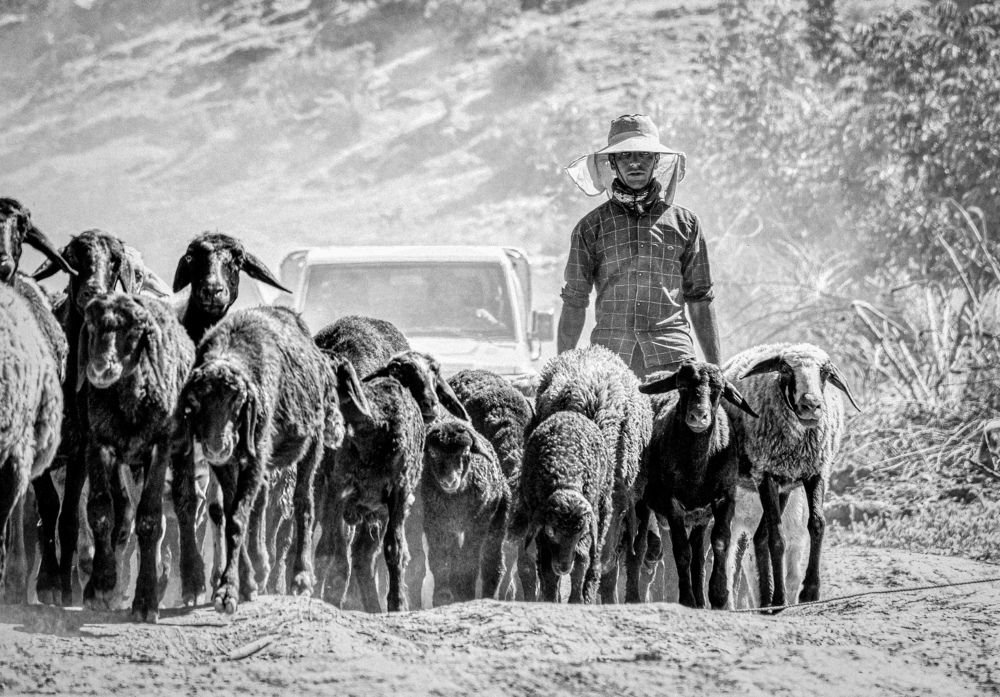 Photograph by Ehsan Fathi