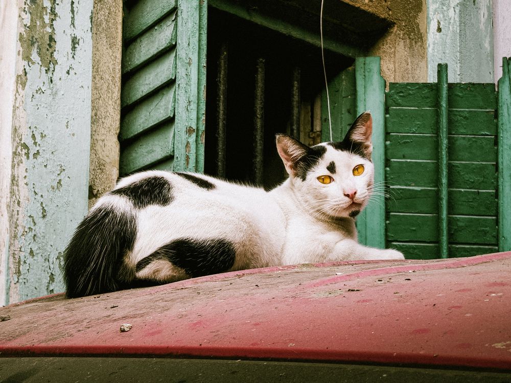 Photograph by Roni Gayen