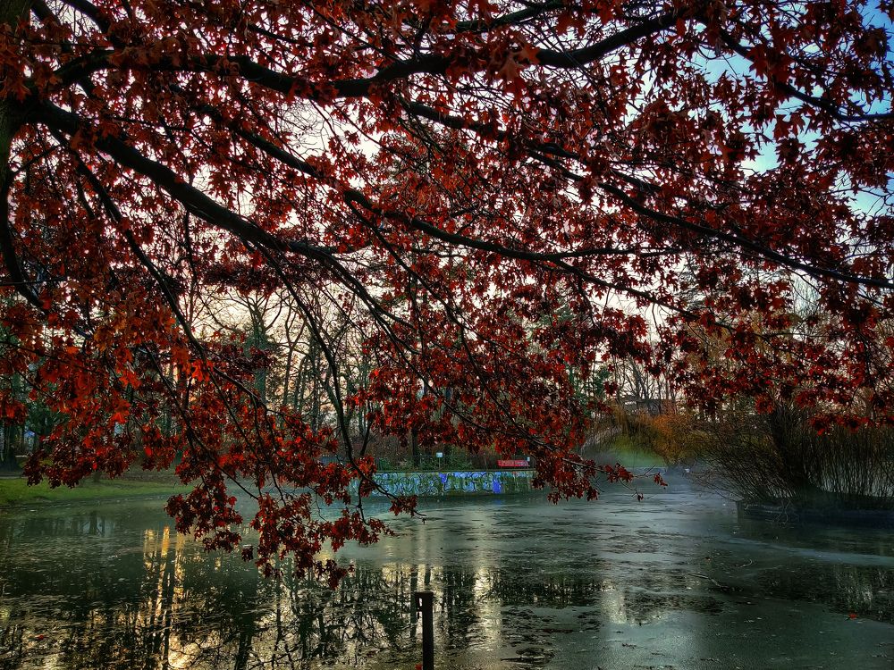 Photograph by Goutom Dey