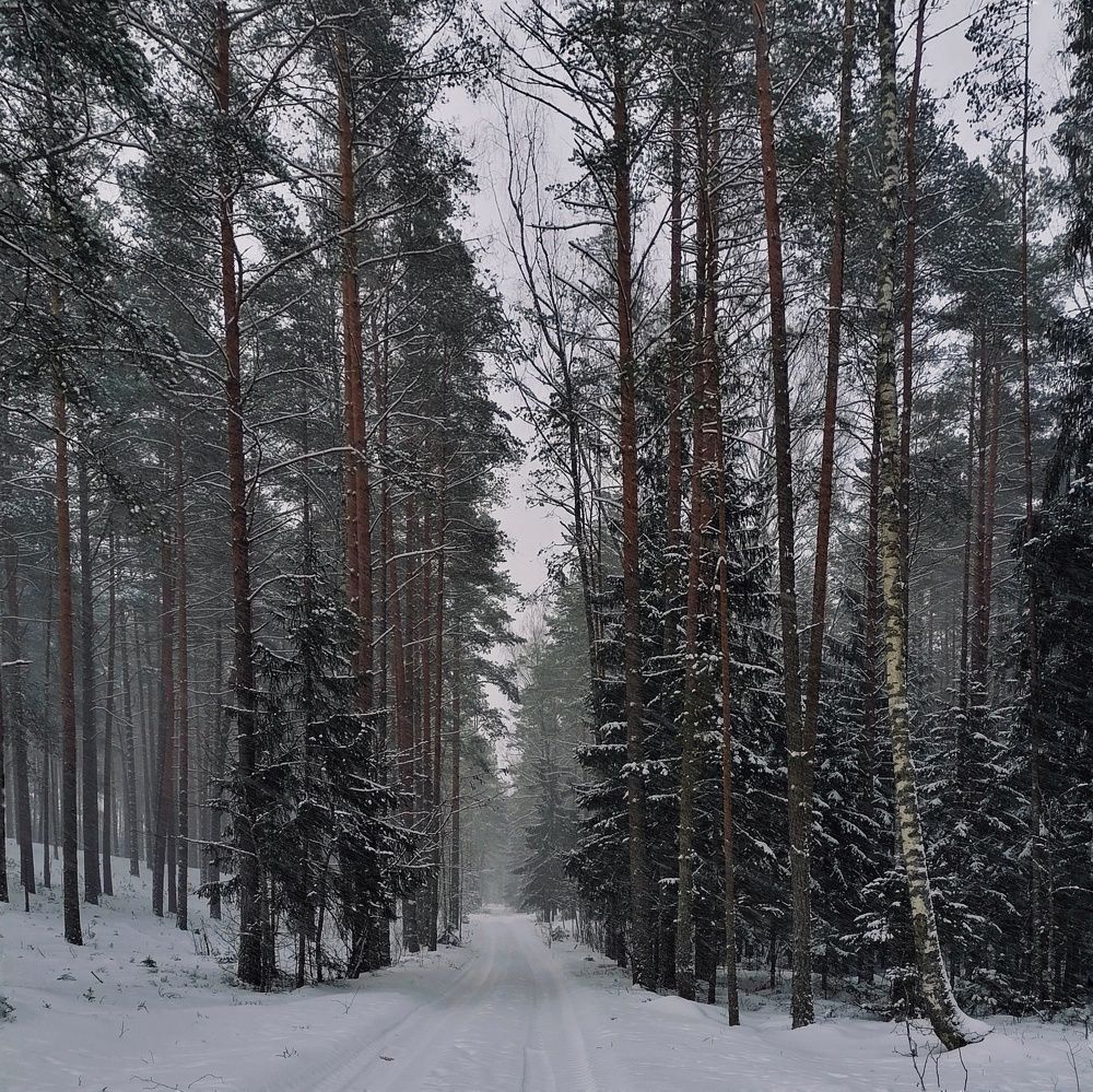 Photograph by Владислава Коледёнок