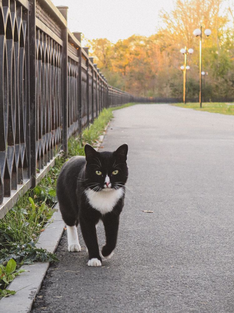 Photograph by Дарья Овсянникова