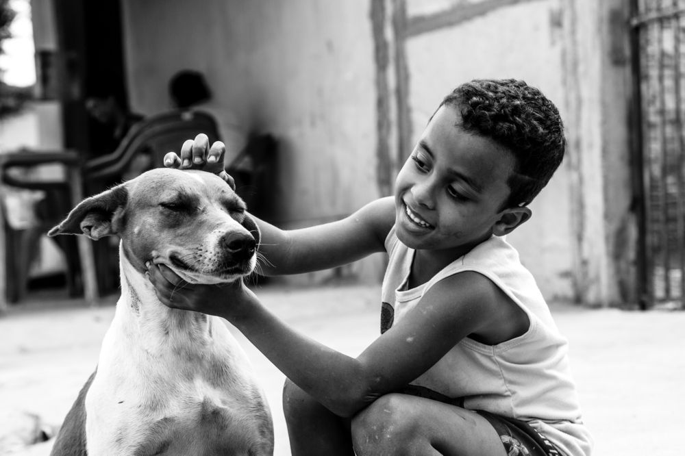 Photograph by FLAVIO SOUZA CRUZ