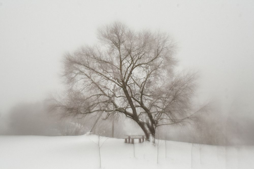 Фотография автора Максим Светличный