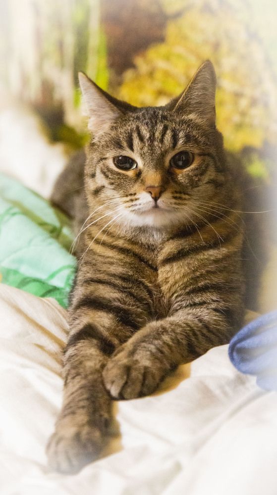 Фотография автора Валерий Каргин