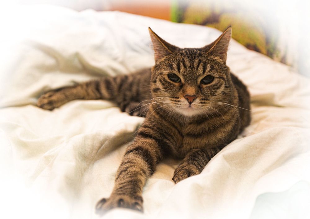 Фотография автора Валерий Каргин