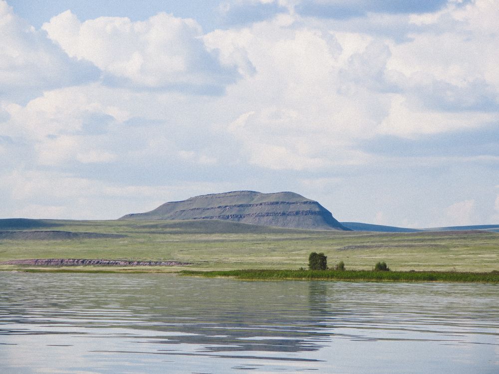 Photograph by Дарья Овсянникова