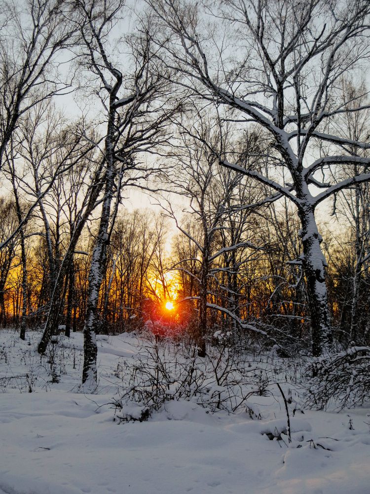 Photograph by Дарья Овсянникова