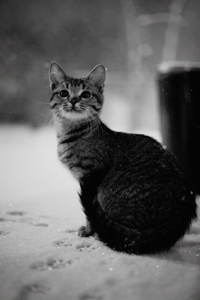 Photograph by Ольга Пережогина