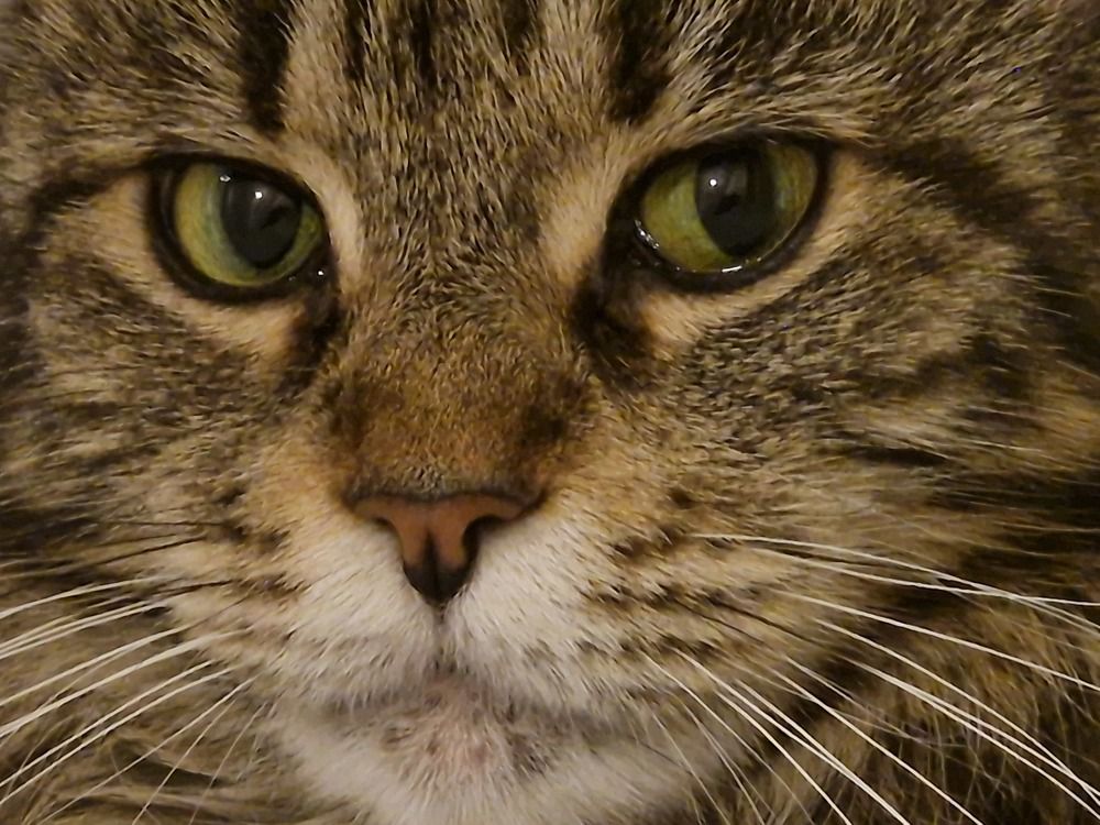 Photograph by Илья